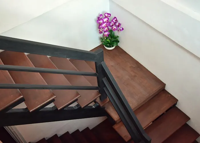 Seedling House Pattaya